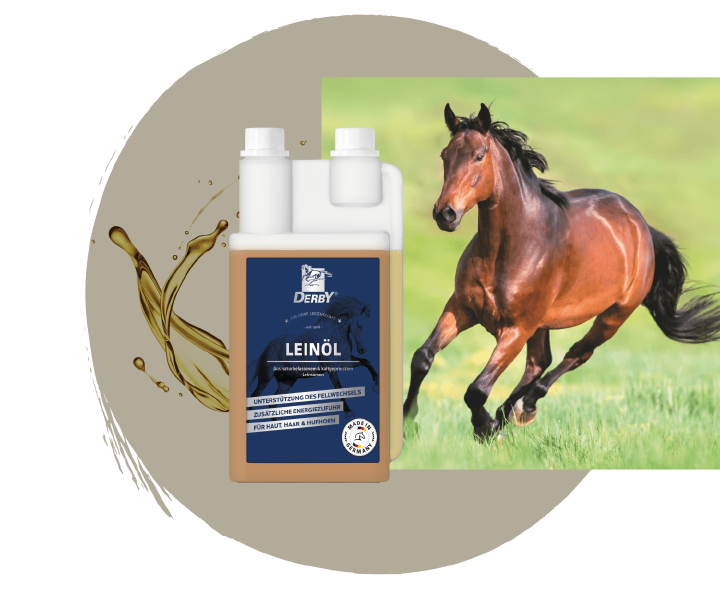 teaser leinoel derby mobil